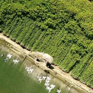 Meet your Posher, Pearl